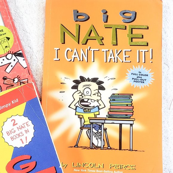 4  kids Books incl Big Nate and Stick Dog 8-12 yrs - Picture 4 of 6